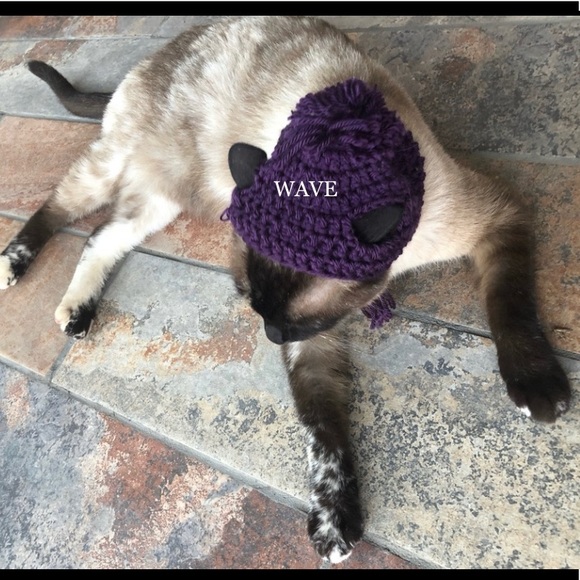 🐈‍⬛🐈😻matching beanie for your cat😽😸pom&braids - Picture 9 of 12